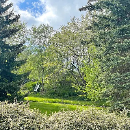 Sonne Mit Grossem Garten